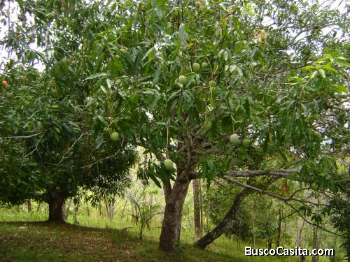 Terreno de 5000 mts. en zona montañosa muy cerca de la costa del Pacífico