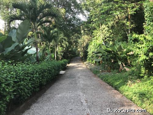 LOTE EN MANUEL ANTONIO