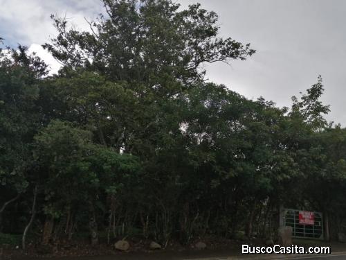 V#56 VENTA DE LOTE EN ESCAZÚ