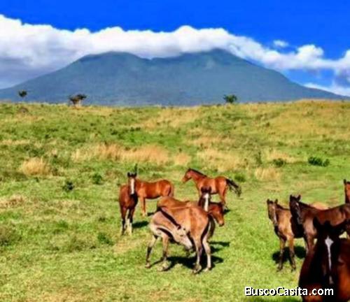 Hacienda Tenorio / La mejor Hacienda de Costa Rica / 4460 Hectáreas
