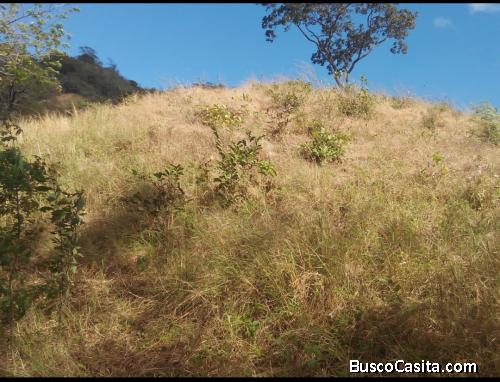 Hermoso terreno - para relax o negocio