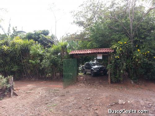 venta de terreno en Palmichal de Acosta