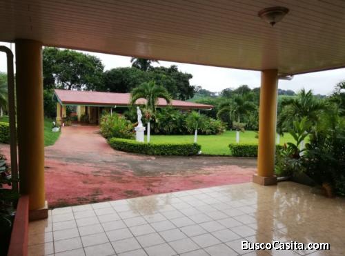 ALQUILER APARTAMENTO GRECIA ALAJUELA.