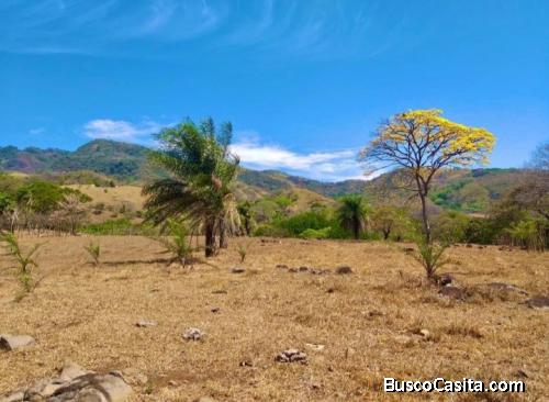 V#117 Venta de Terreno para Inversión en Atenas 