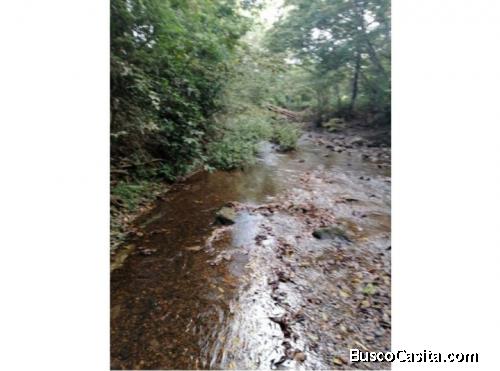 V#90  OPORTUNIDAD  VENTA DE FINCA UBICADA EN OROTINA PARA INVERSIÓN  