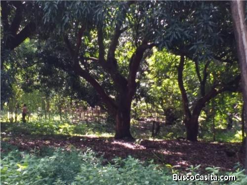 V#75 Venta de Lote ubicado en San Mateo de Alajuela 