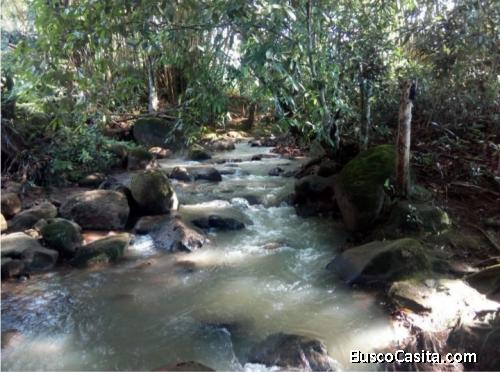 V#57 Venta de Lote ubicado en Pérez Zeledón.