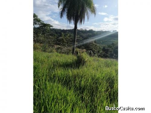 V#90 Hermosa Finca en venta/ Orotina