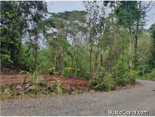 Hermoso Lote en Venta/ Acosta