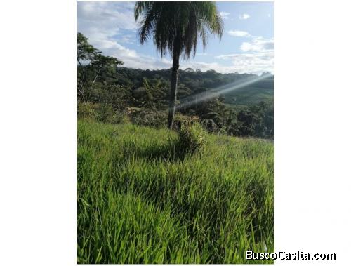 Hermosa Finca en venta/ Orotina