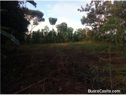 Espectacular lote en venta/ Pérez Zeledón