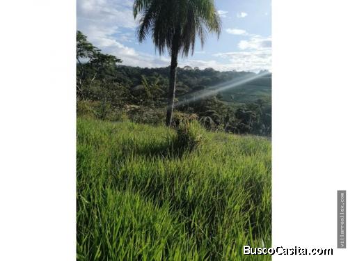 V#90 Hermosa Finca en venta/ Orotina