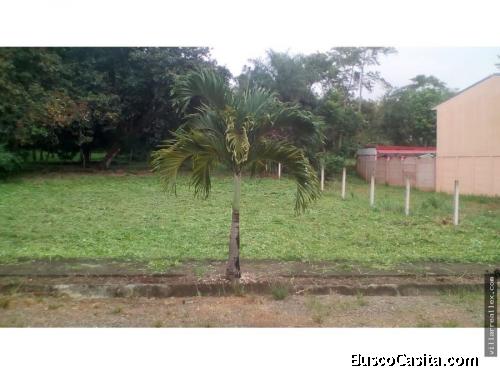 V#82 Lote en venta, Exc-Ubicación/Orotina   Código: 2008629