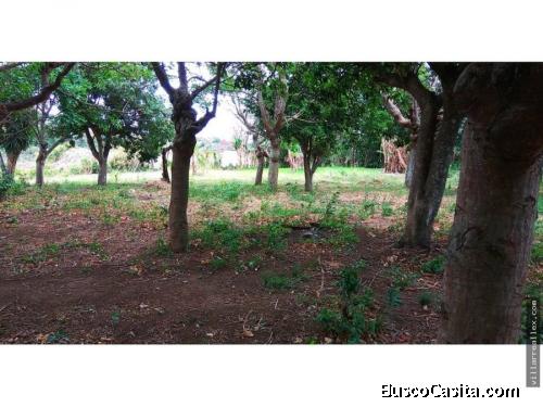 V#95 Amplio Lote en venta/Uso Industrial/Heredia