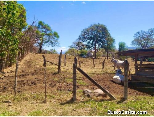 V#118 Venta de Lote para inversión/ Atenas