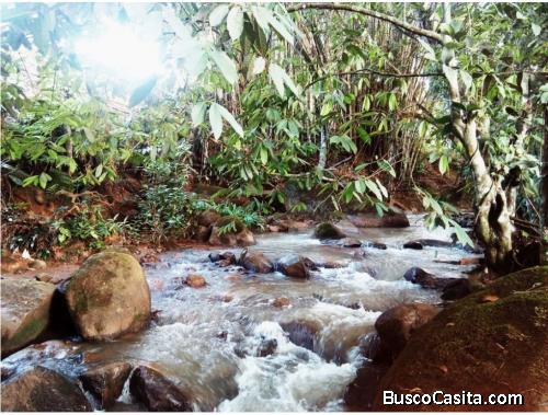 V#57 Espectacular lote en venta/ Pérez Zeledón