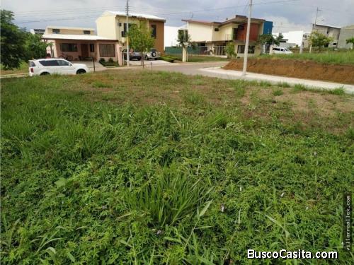 V#166 Exclusivo Lote en Venta/Grecia-Alajuela