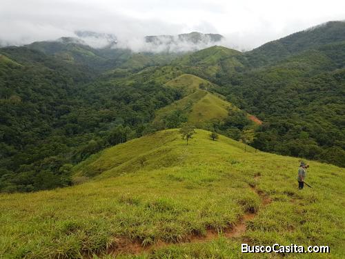 V#181 Hermosa Finca en Venta/Puriscal  