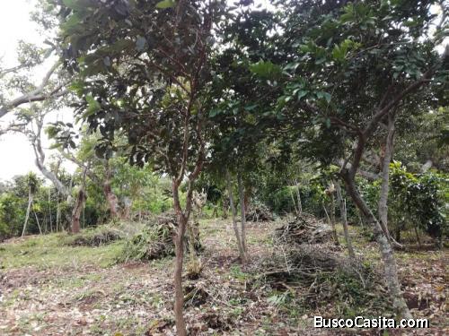 V#184 Atractivo Lote en Venta/Heredia