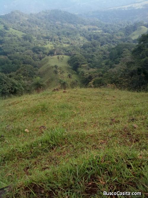 V#203 Majestuosa Finca en Venta para Inversión/Alajuela
