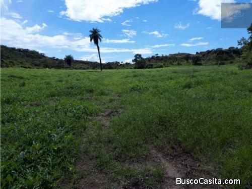 V#207 Grandiosa Finca en Venta/Guanacaste