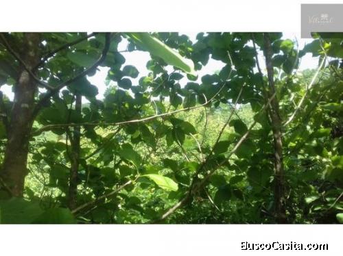 V#208 Bella finca en Venta/Guanacaste