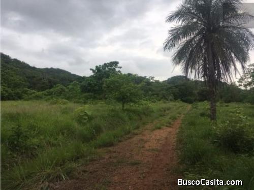 V#212 Maravillosas Fincas en Venta/Guanacaste