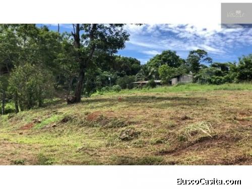 V#219 Excepcional Lote en Venta/Orotina