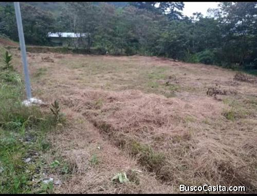 VENDO LOTE EN PLATANILLO DE TURRIALBA
