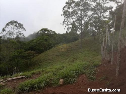 V#280 Hermoso Lote en venta/ Puriscal