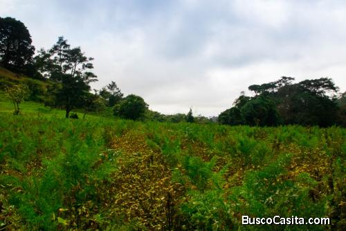 V#281 Espectacular Lote en Venta/ Alajuela