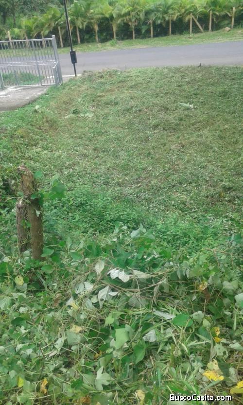 V#272 Céntrico Lote en Venta/Atenas