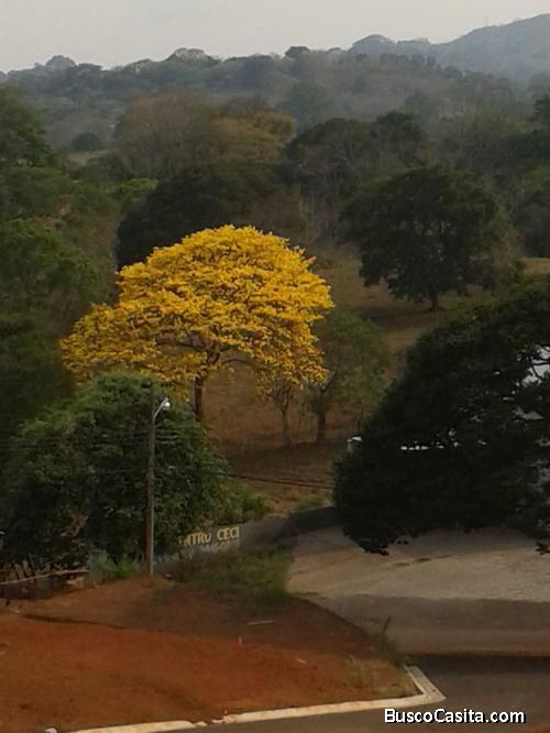 V#270 Espectacular Lote en Venta/ Atenas(Lote#9)