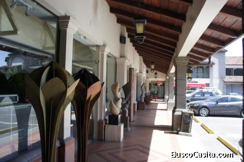 RAH OFC #20-806 Alquiler de Bodega Local en San José