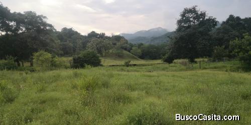 finca terreno