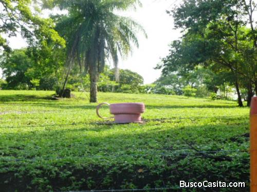 HERMOSA PROPIEDAD EN GUANACASTE