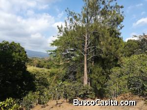 RAH OFC #20-531 lote en venta en Alajuela 