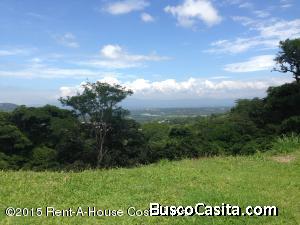 RAH OFC  #20-1255 finca en venta Guacimo 