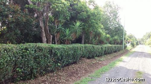 SE VENDE PROPIEDAD GANGA 