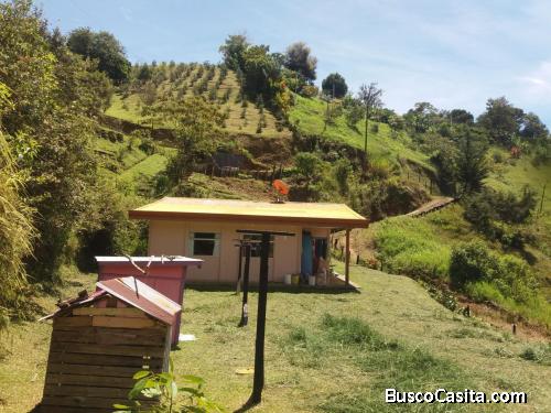 RAH OFC #20-1900 lote en venta en San Isidro - El Guarco