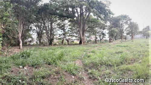 RAH OFC #20-1256. LOTE DE TERRENO EN VENTA. SANTA ROSA