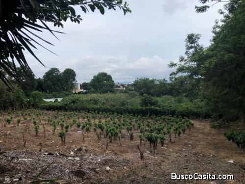 NO SE PIERDA ESTA GRAN OPORTUNIDAD DE ADQUIRIR LOTE DE TERRENO. San Joaquin de Flores de Heredia