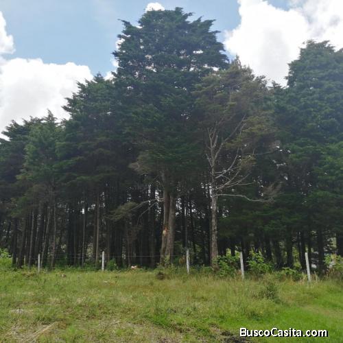 LOTE DE TERRENO EN VENTA. SAN RAFAEL