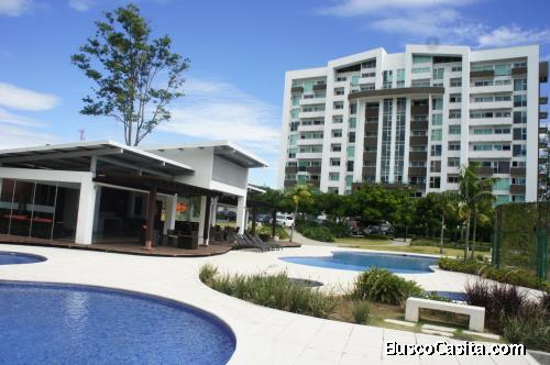 APARTAMENTO EN ALQUILER. HEREDIA