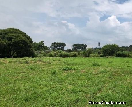 VENTA DE LOTES. HEREDIA SAN PABLO