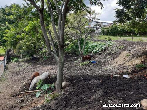 VENTA DE LOTE DE TERRENO. SAN JOSÉ ESCAZÚ