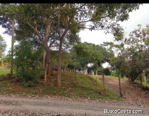 Se vende propiedad en uvita de orotina 