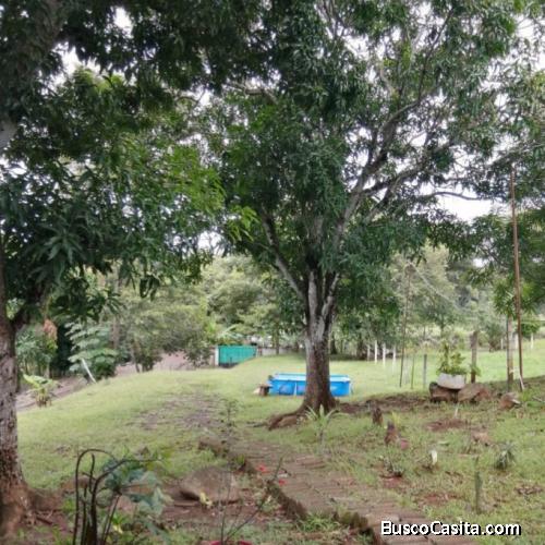 Se vende 200 metros propiedad en uvita de orotina 