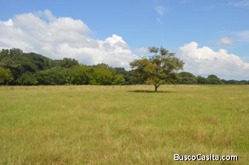 VENTA DE FINCA/ FINANCIAMENTO DISPONIBLE/NEGOCIABLE