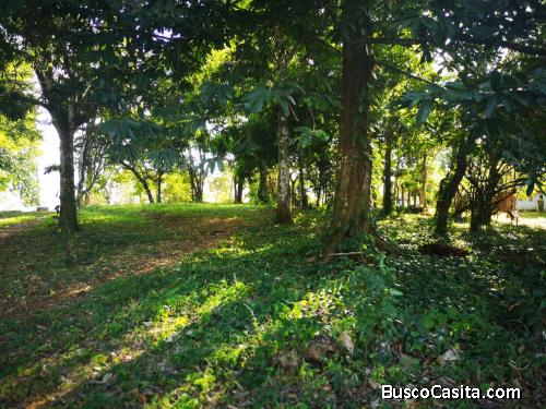 Terreno amplio Pilangosta, Hojancha, Guanacaste